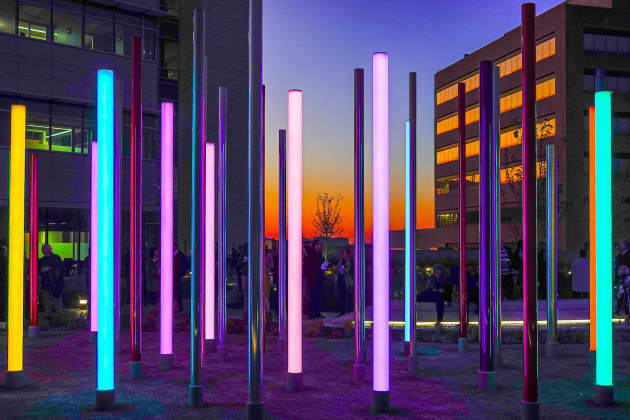 Forest of Light