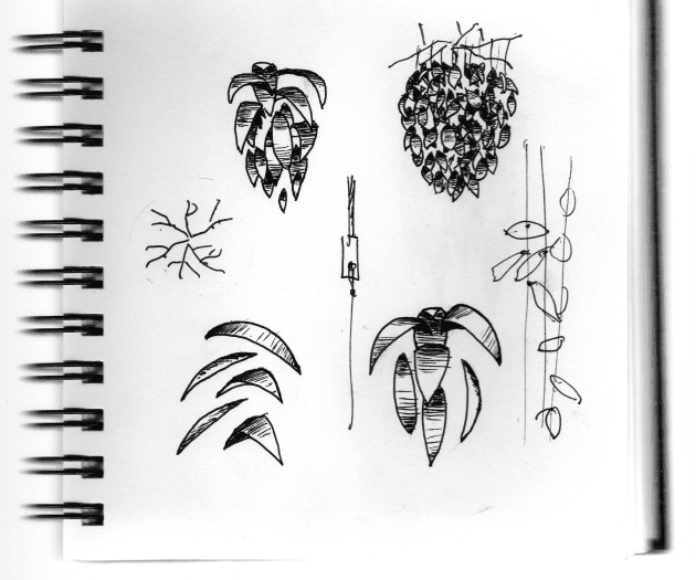 Deciduous Life