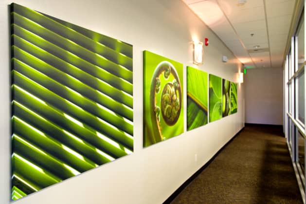 Images of Natural Beauty at San Dimas Women’s Medical Group