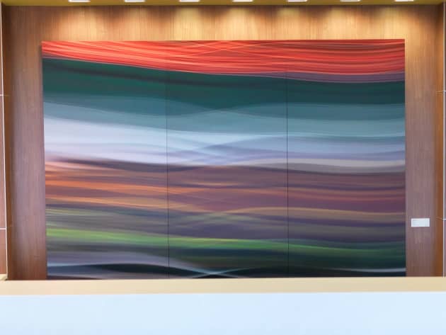 University Healthcare System Wall Commission