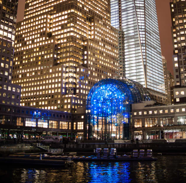 Light Cycles at the Winter Garden