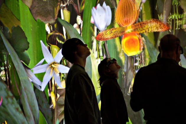 Wonder: Patterns for a Virtual Reality Environment