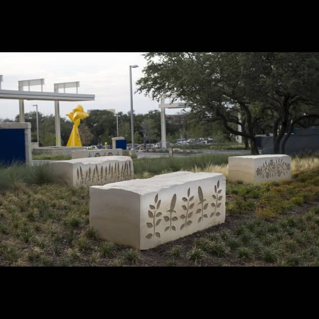 "Art of Healing" University Health System