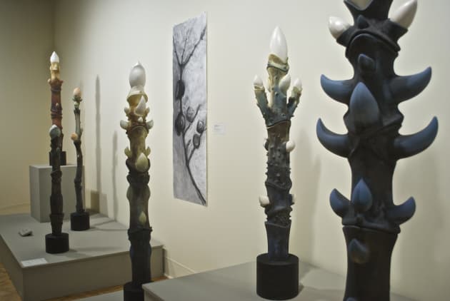 Solo Show – Greenville County Museum of Art