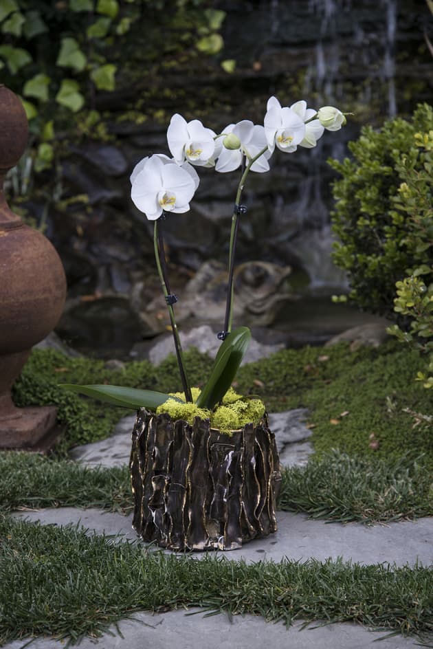 Devin’s Garden