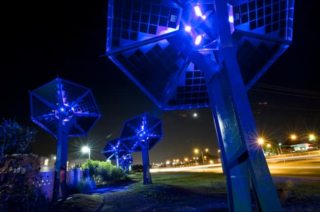 SunFlowers, an Electric Garden