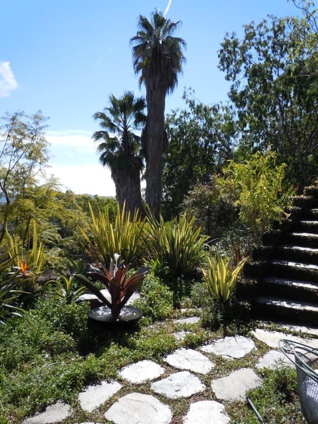 AGAVE FOUNTAIN