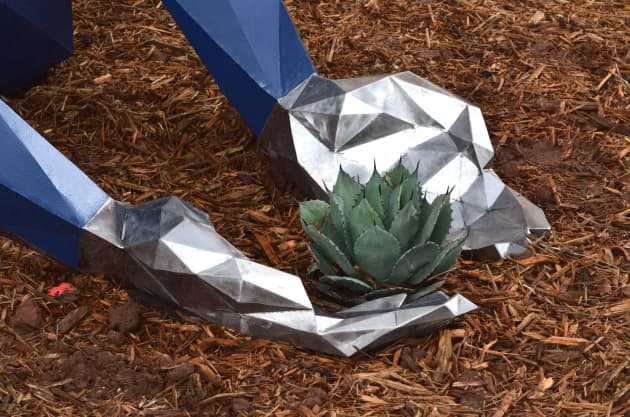 Agave Dreams