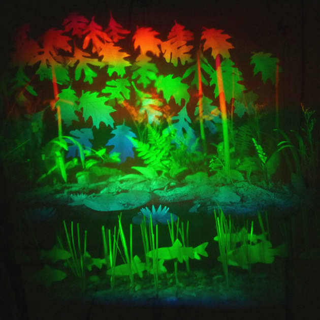 Light Pond and The Secret Garden