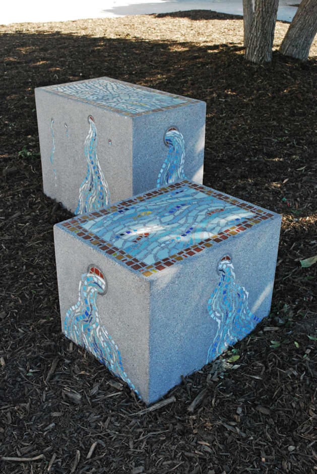 Arroyo Vista (Our Arroyo Ecosystem)