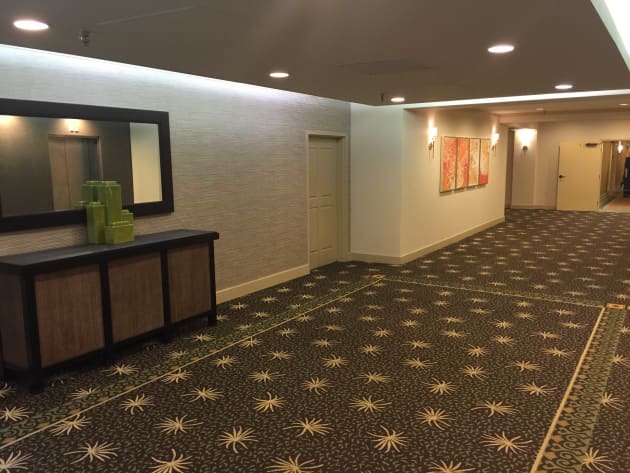 Tampa Westshore Hilton Lobby