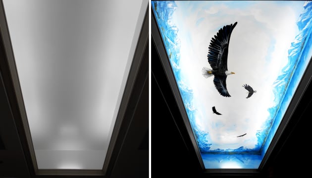 Nature Scene Murals