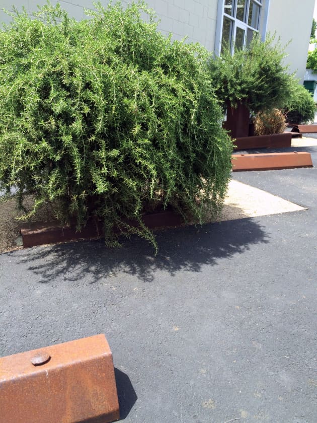 Art Complex Landscape Design
