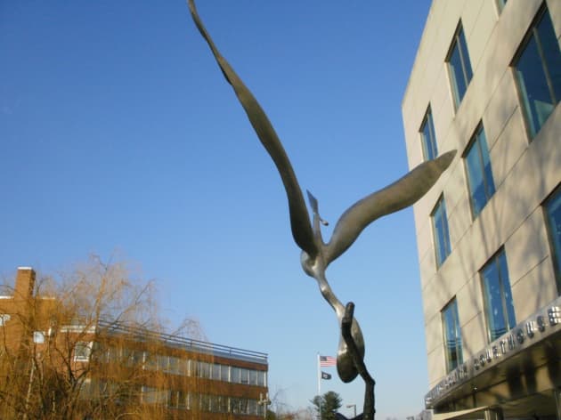 Ascending Bird