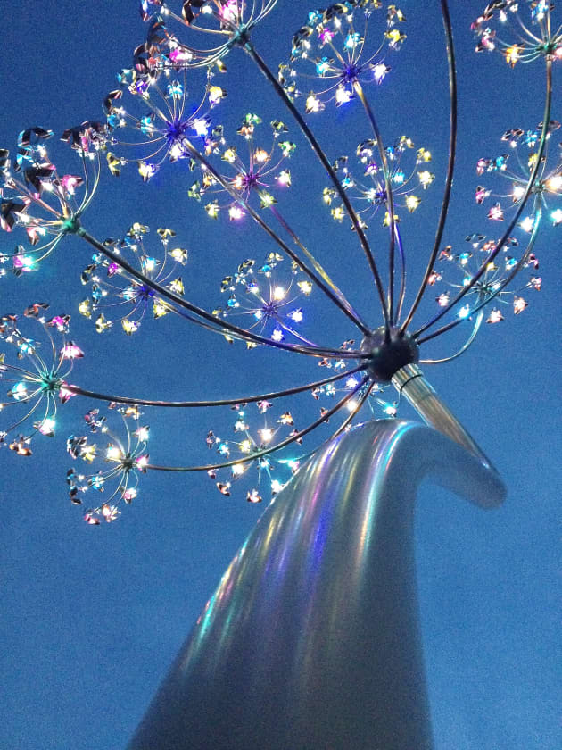 Seeds of Light
