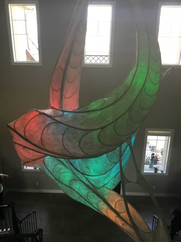 The Shape of Light