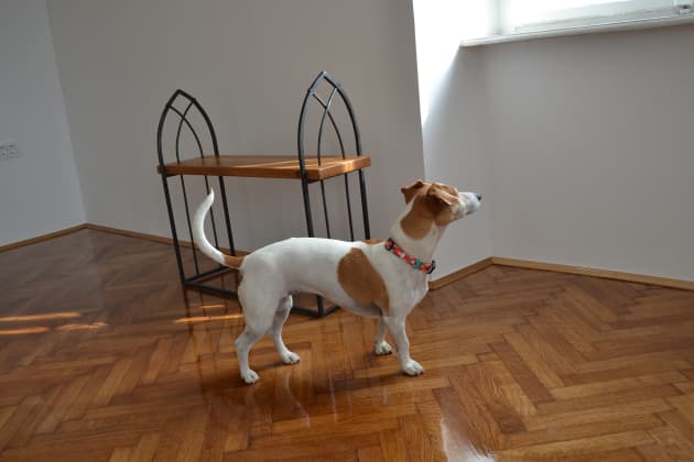 Wrought Iron Bench "Gothic"