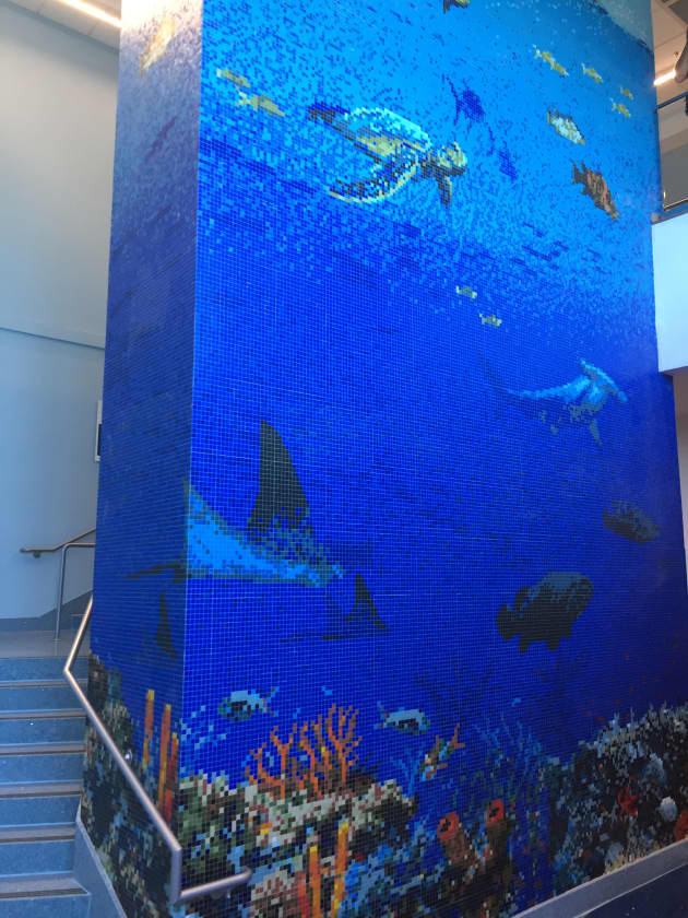Texas State Aquarium “Caribbean Journey”