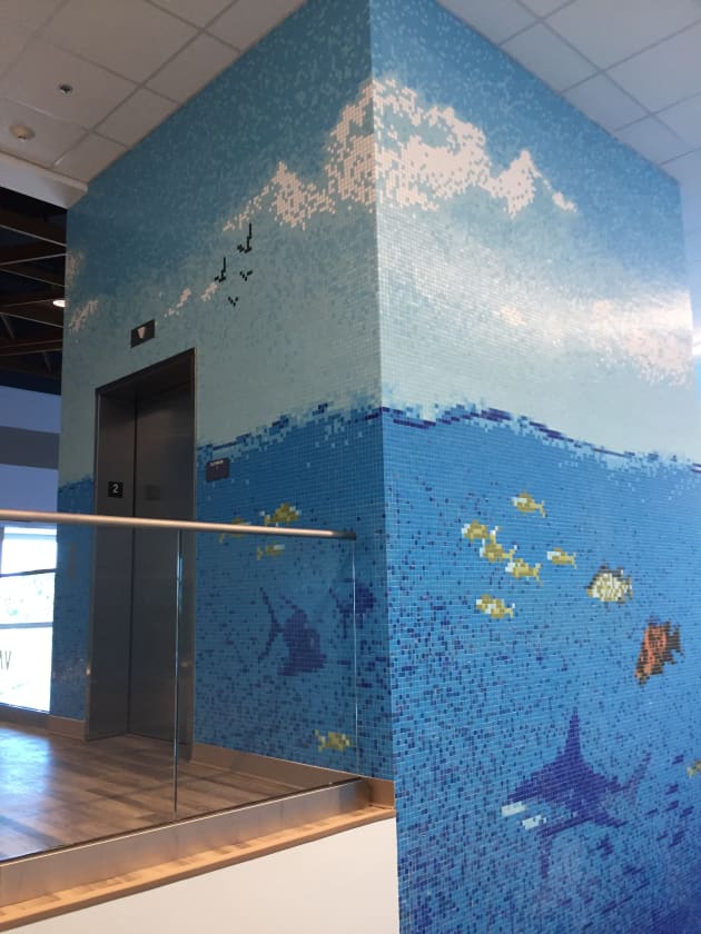Texas State Aquarium “Caribbean Journey”