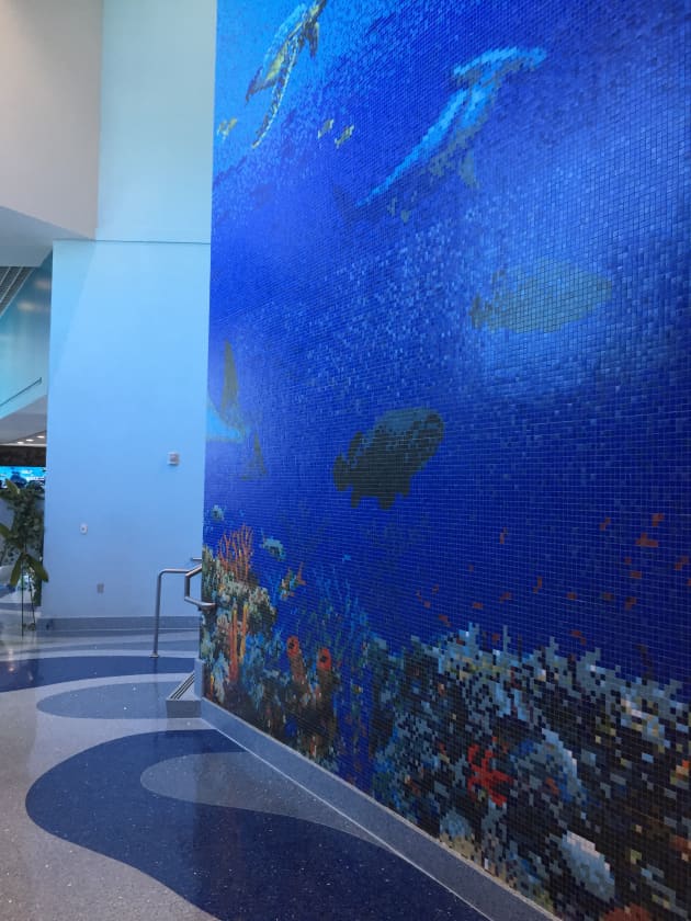 Texas State Aquarium “Caribbean Journey”