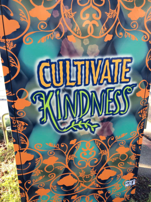 Sacramento Utility Boxes Art
