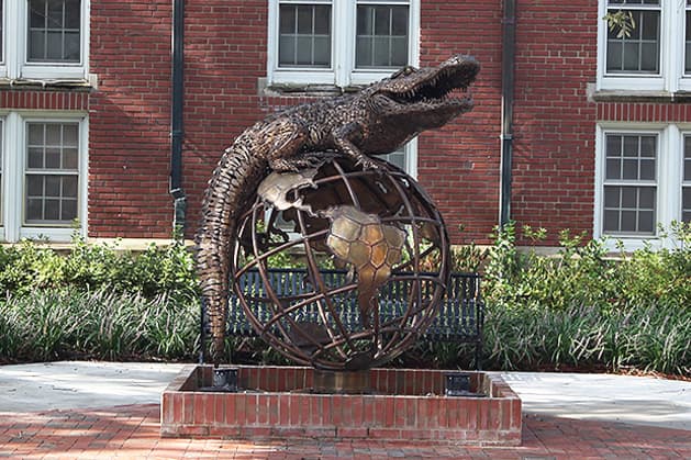 Gator Ubiquity