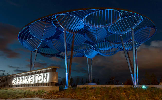 Carrington Community