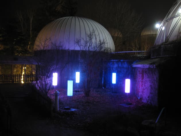 Stella Polaris