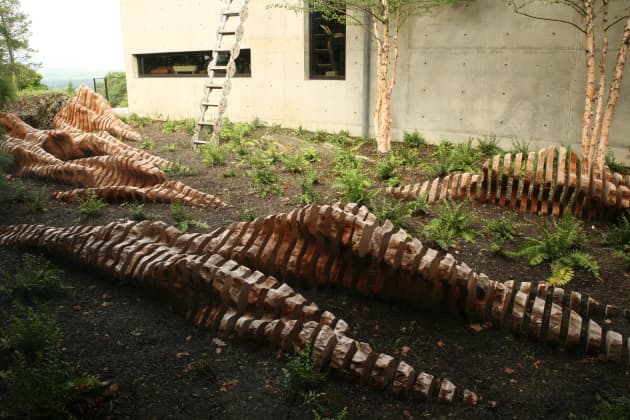 Emergence