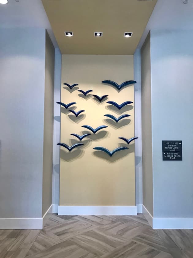 Birds