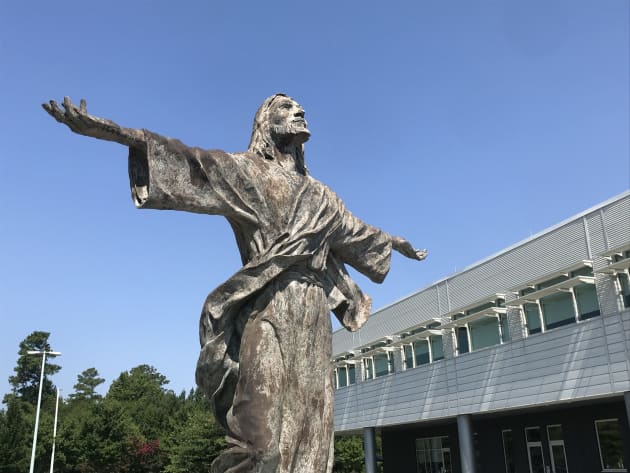 Ascending Christ