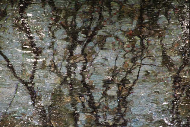 Red Cedar Reflections: Case Residence Hall, Michigan State University