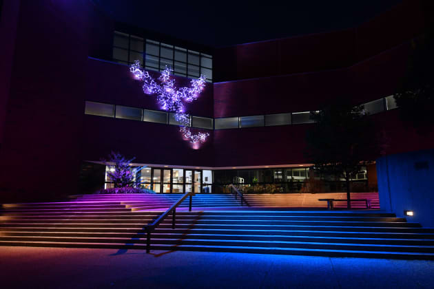 Reanimation: University of Louisville School of Music
