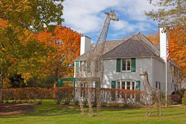 The Giraffe Project