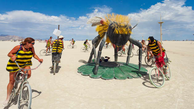 Bee or Not to Bee
