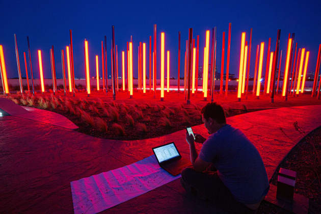 Forest of Light