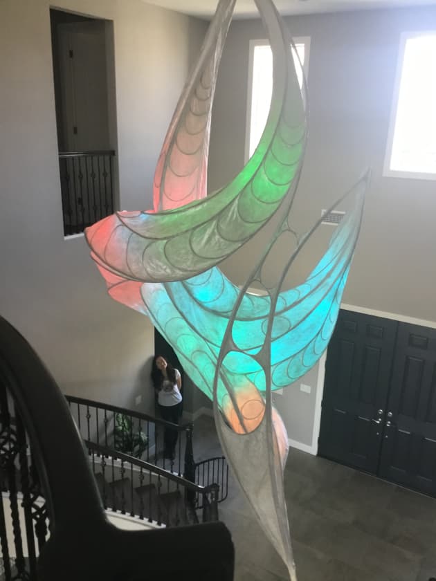 The Shape of Light