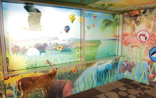 Eco-Stories