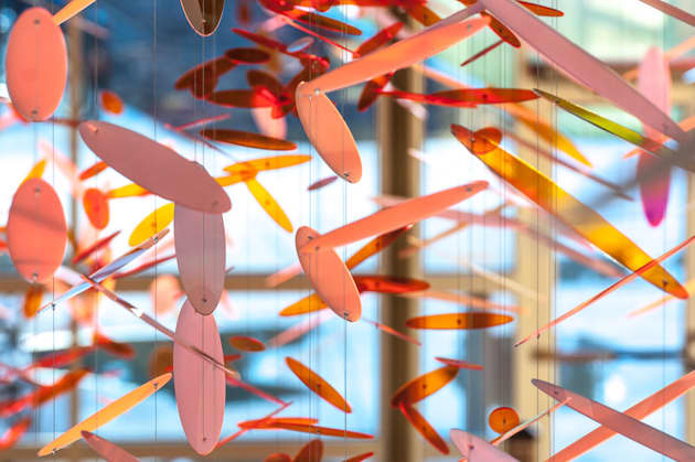 ‘Sheltering Movement’