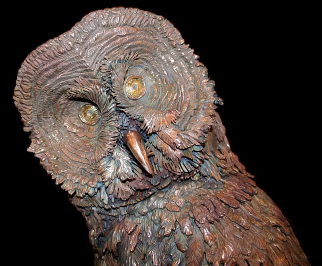 Great Grey Owl
