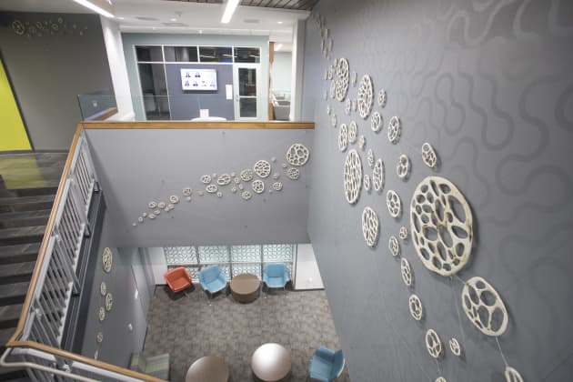 Bone Series: Biophilia Connections