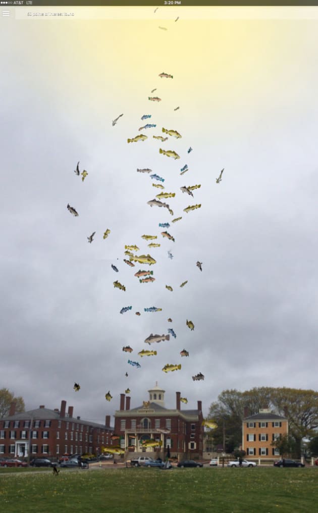The Augmented Landscape