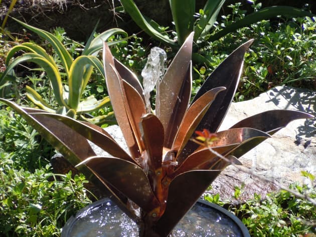 AGAVE FOUNTAIN