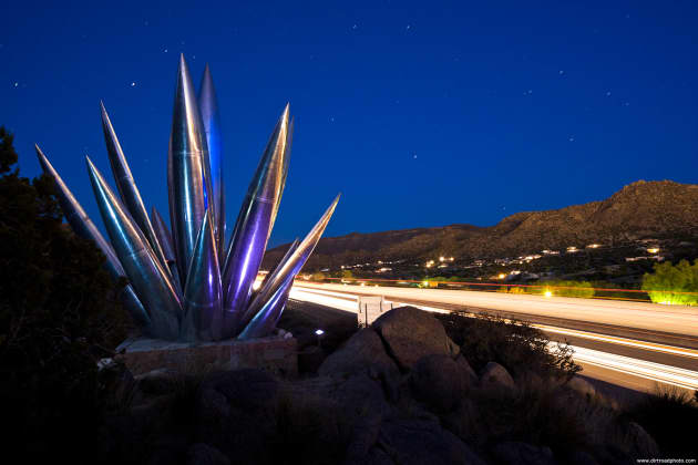 Aluminum Yucca