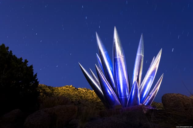 Aluminum Yucca