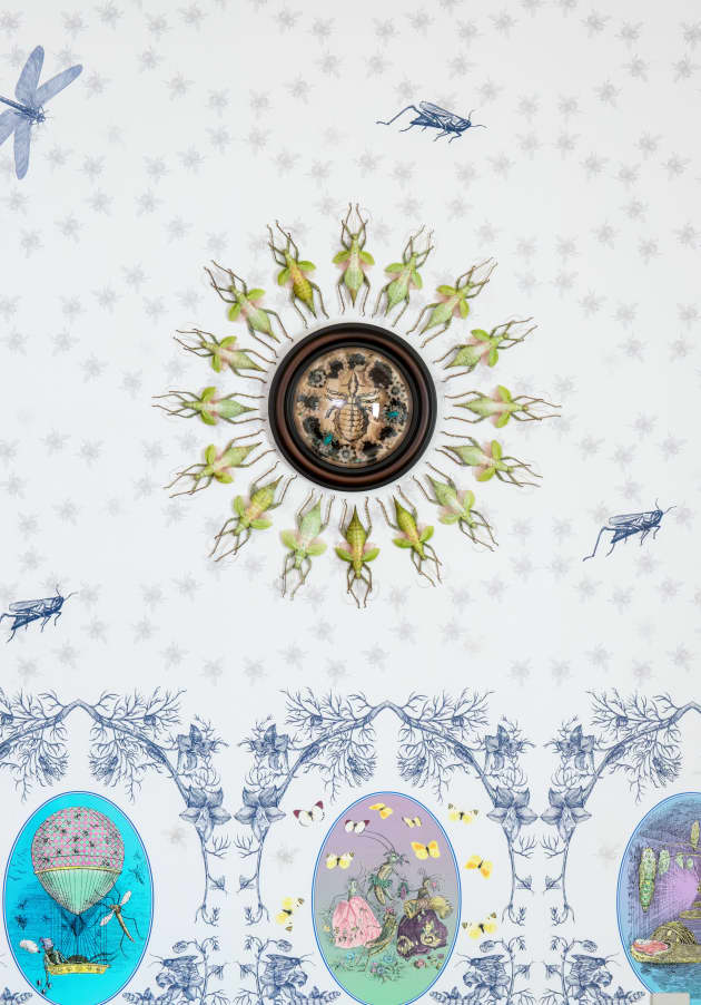 Dining room installation by Jennifer Angus
