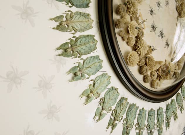 Dining room installation by Jennifer Angus