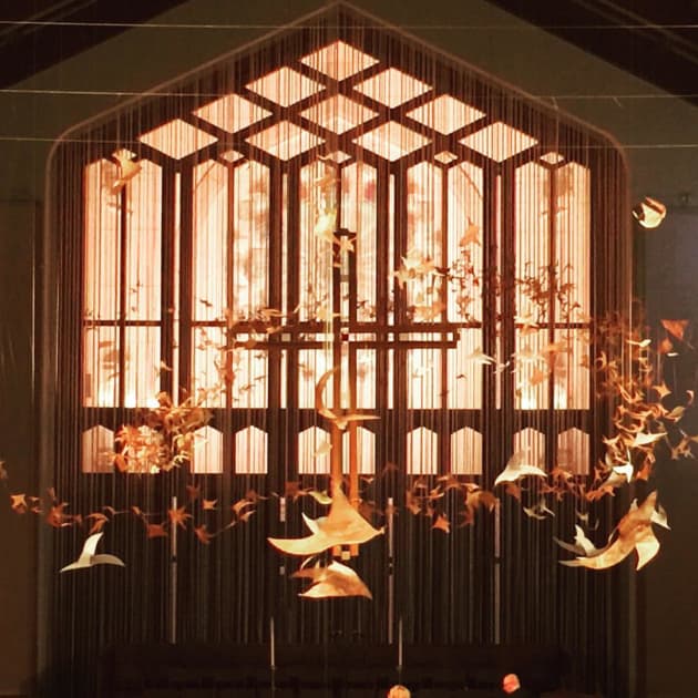 Murmuration
