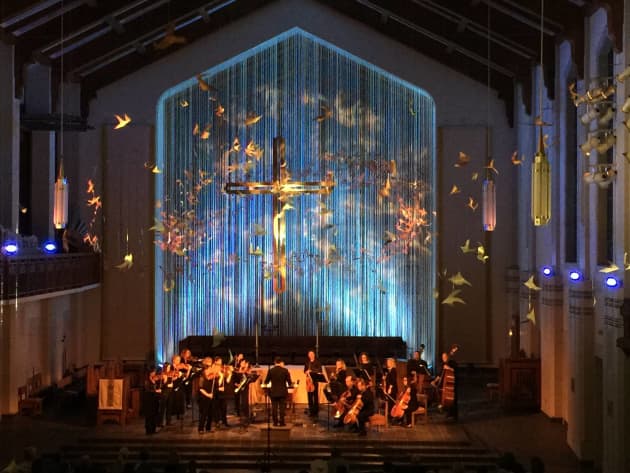 Murmuration
