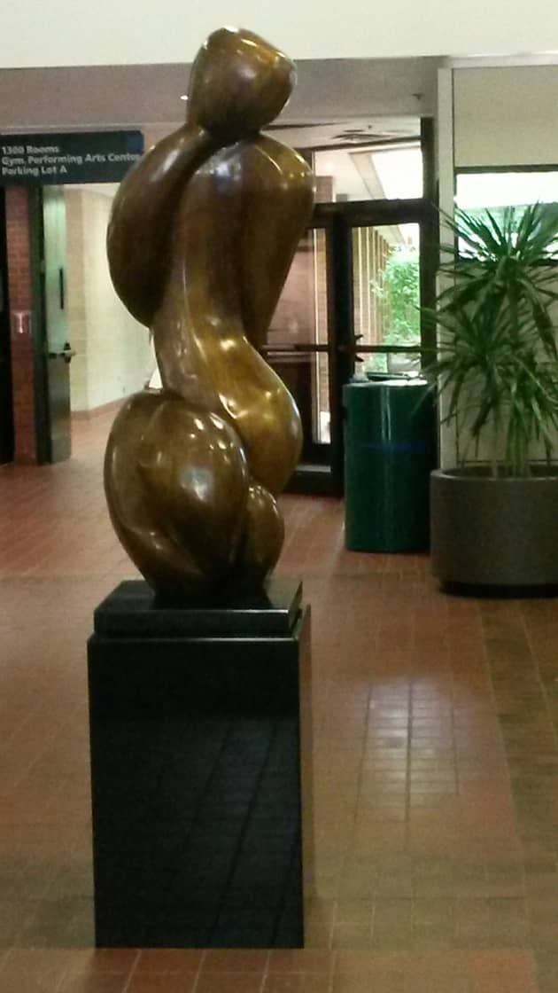 Symbiotic II